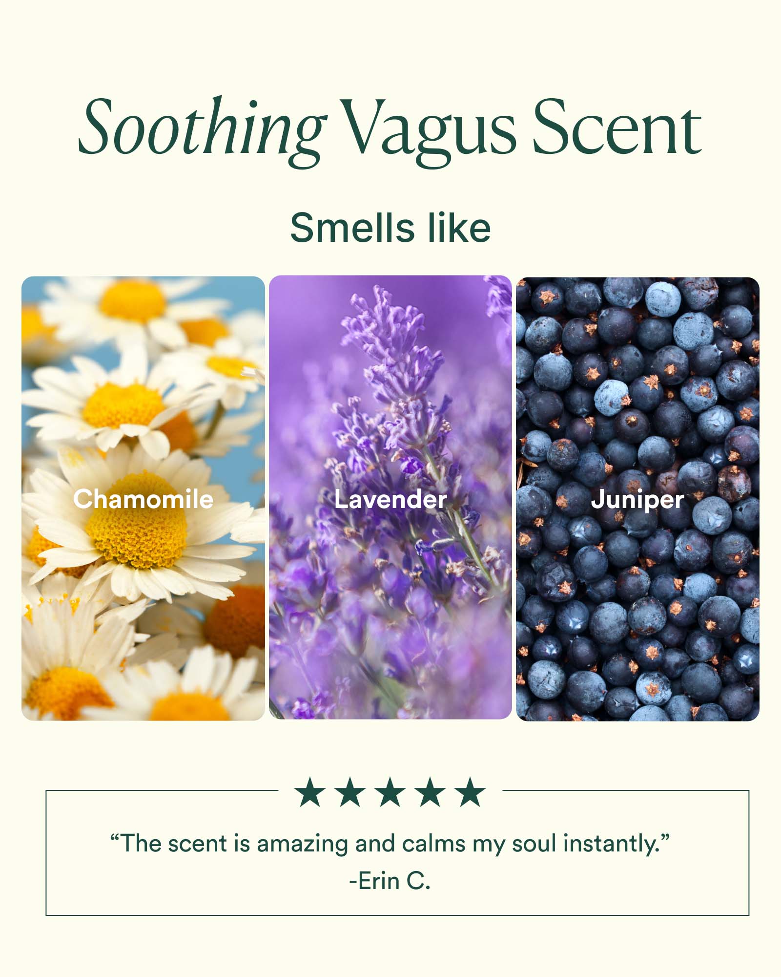 6-VNO_PDP_SCENT_1600x2000_3da29833-9dc0-43bf-b1fd-58e4393e6927.jpg